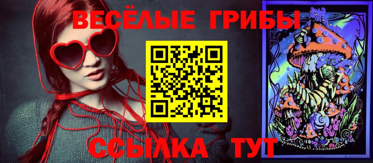 Галлюциногенные грибы Psilocybine cubensis  Вход с VPN  Бахчисарай 