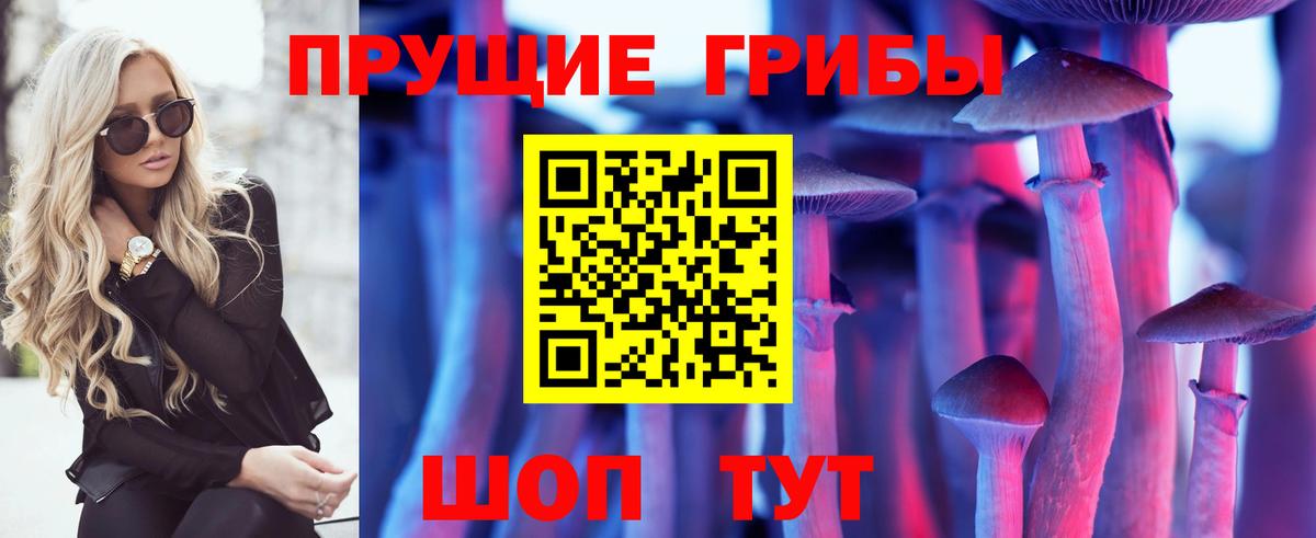 Псилоцибиновые грибы Psilocybe Бахчисарай
